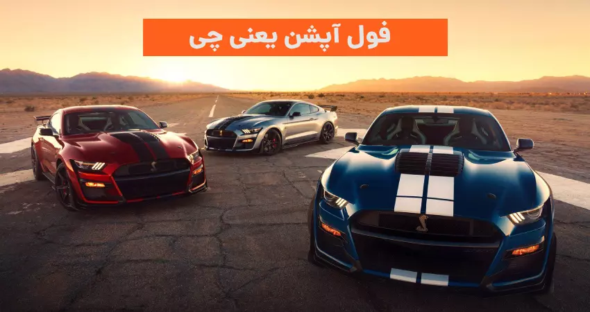 فول آپشن یعنی چی
