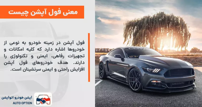 معنی فول آپشن چیست