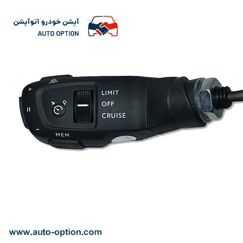 cruise-control-Renault Fluence-1